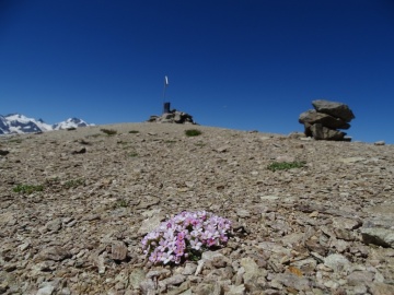 2022-07-13-Piz-La-Stretta-o-Breva-84