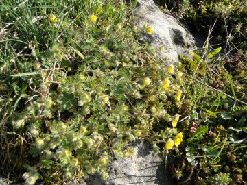 2014-05-01-premolo-telini-golla-010