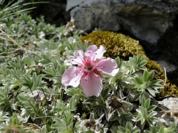 2010-07-10 monte pez 029