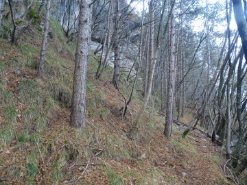 2022-03-05-Prati-di-Nar-15