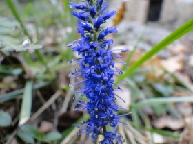 2010-10-23 Pescarzo 026