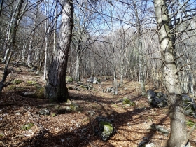 2017-03-15 punta e bocchetta di val Scura (12)