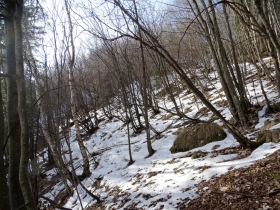 2017-03-15 punta e bocchetta di val Scura (16)