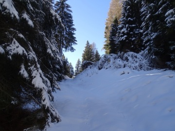 2022-01-08-quasi-malga-Giuggia-19