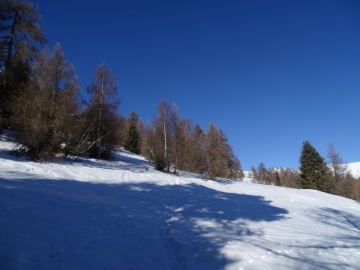 2022-01-08-quasi-malga-Giuggia-24