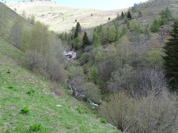 2021-05-19-Remedio-Sarle-32