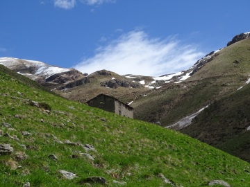 2021-05-19-Remedio-Sarle-35