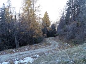 2017-11-19 rif. Lancia da Giazzera (10)