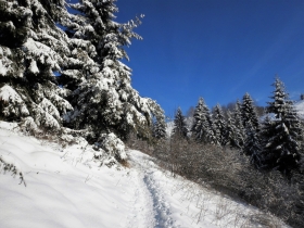 2018-02-04 Rif. Parafulmine da Barzizza di Gandino (127)