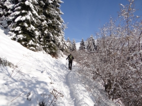 2018-02-04 Rif. Parafulmine da Barzizza di Gandino (128)