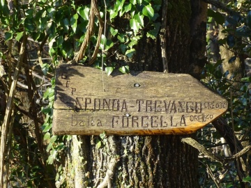 2024-11-30-Vaccaro-27