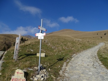 2024-11-30-Vaccaro-56