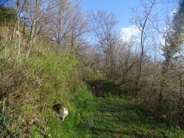 2025-03-26-Roccolo-del-Prete-13