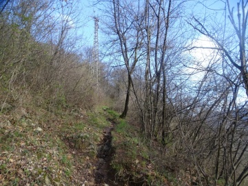 2025-03-26-Roccolo-del-Prete-16