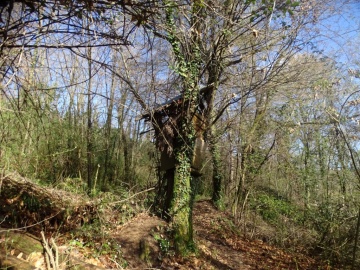 2025-03-26-Roccolo-del-Prete-18