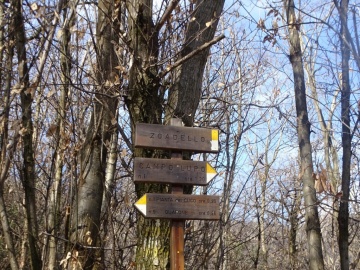 2025-03-26-Roccolo-del-Prete-24