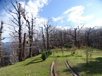 2025-03-26-Roccolo-del-Prete-25