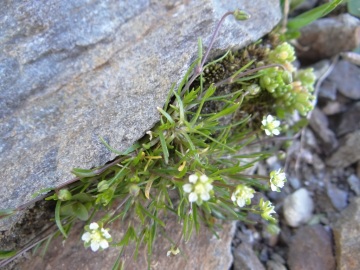 2020-08-08-Corno-Bianco-di-Pennes-71