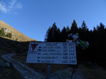 2015-11-22 monte Madonnino Valgoglio 001