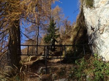 2015-11-22 monte Madonnino Valgoglio 002