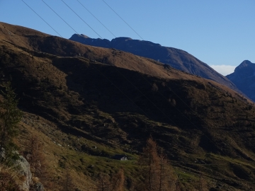 2015-11-22 monte Madonnino Valgoglio 005