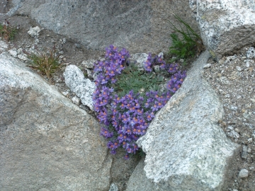 33 16 luglio 2005, monte aviolo (12)