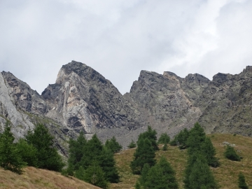 04 2015-07-31 monte Coleazzo 029
