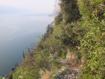 2014-04-02  salita alla Pieve Tremosine 012
