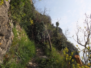 2014-04-02  salita alla Pieve Tremosine 069