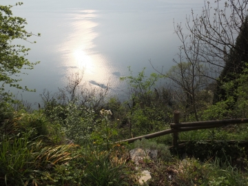2014-04-02  salita alla Pieve Tremosine 075