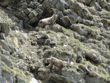 2012-06-2_3-Valle-delle-Messi-028