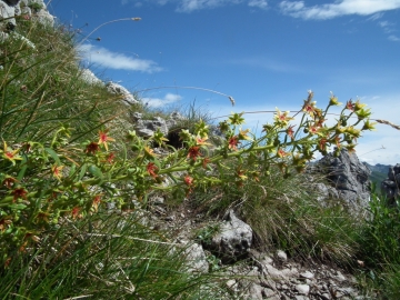 2011-07-24 alben e croce 136