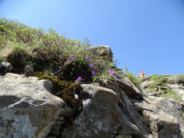2026-05-27-Sella-Paitino-150
