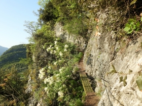 2018-04-22 sentiero degli Scaloni Dro Ceniga (112)
