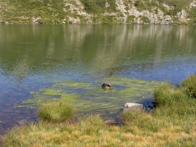 cima dossoni  laghi seroti 06-08-07 071