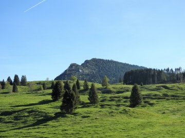 2019-06-01Pizzo di Levico (11)