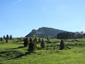 2019-06-01Pizzo di Levico (11)