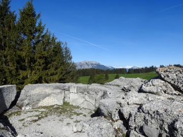 2019-06-01Pizzo di Levico (15)