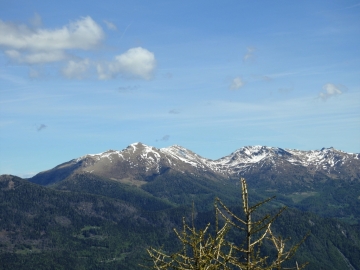 2019-06-01Pizzo di Levico (43)