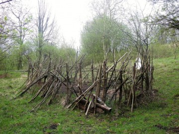 2017-04-07-Squassaiotto-002