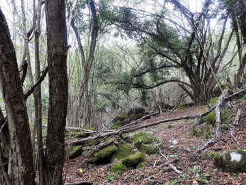 2017-04-07-Squassaiotto-022