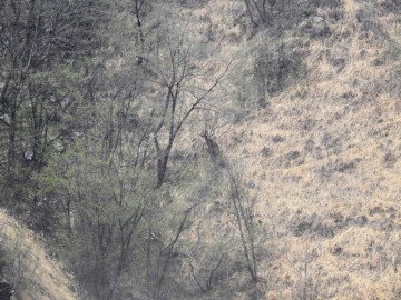 2017-04-07-Squassaiotto-026