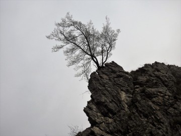 2017-04-07-Squassaiotto-030
