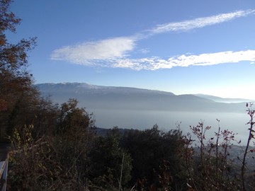 2023-12-09-St.Urbano-e-Pirello-13