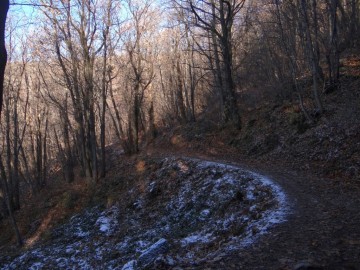 2023-12-09-St.Urbano-e-Pirello-22