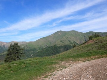 2020-05-24-Poffe-Stabil-Fiorito-14
