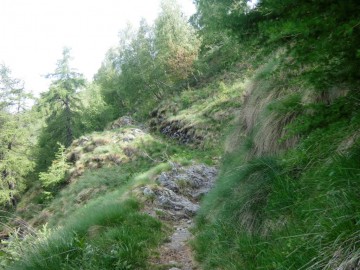 2020-05-24-Poffe-Stabil-Fiorito-23
