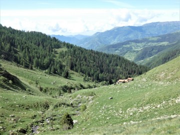 2020-05-24-Poffe-Stabil-Fiorito-34