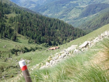 2020-05-24-Poffe-Stabil-Fiorito-35