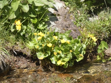 2020-05-24-Poffe-Stabil-Fiorito-39